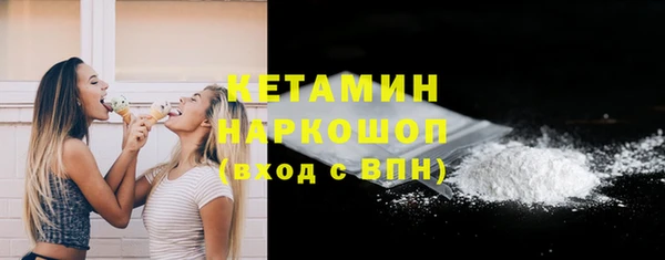 шишки Сатка