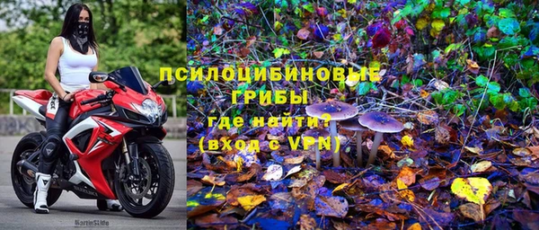 СК Новокубанск