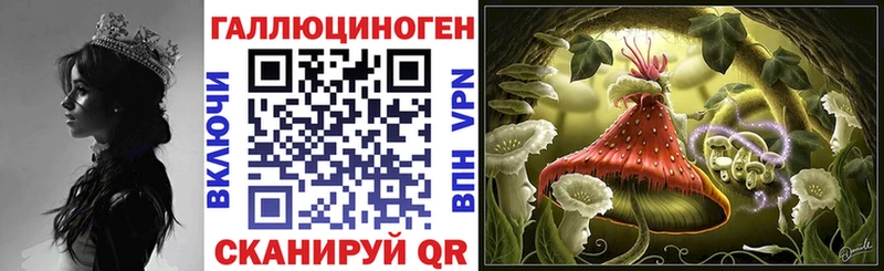 Псилоцибиновые грибы ЛСД Спасск